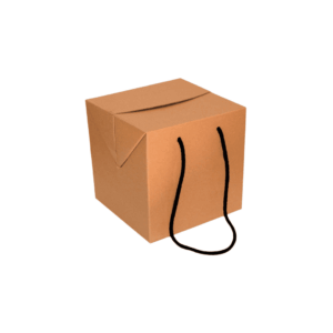 Caja Modelo Gourmet Cubo
