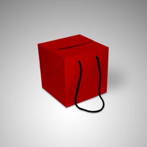 Caja Modelo Cubo
