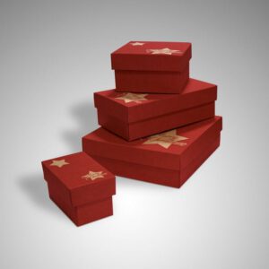 Caja Modelo Gourmet Merry Christmas