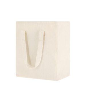 Bolsa Modelo Walvix