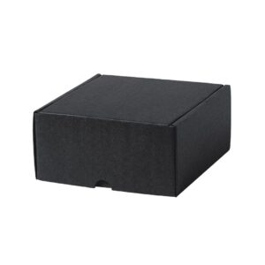 Caja Modelo Steffon